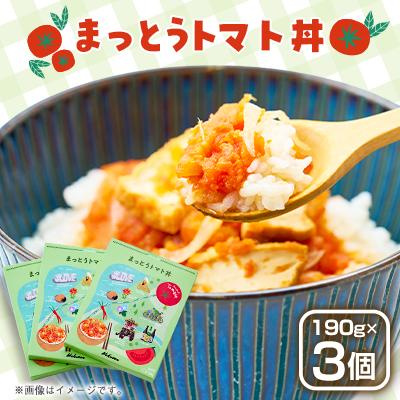 ふるさと納税 白山市 まっとうトマト丼　3個入り