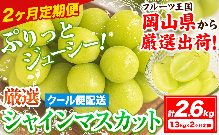 【2ヶ月定期便】【2026年発送先行予約】シャインマスカット 岡山 約1.3kg×2ヶ月定期便 計2.6kg 《2026年9月上旬-10月末頃出荷》厳選 旬 ぶどう ブドウ 葡萄 マスカット 果物 フルーツ ギフト 岡山県 笠岡市 訳あり クール便 爽やか 贅沢