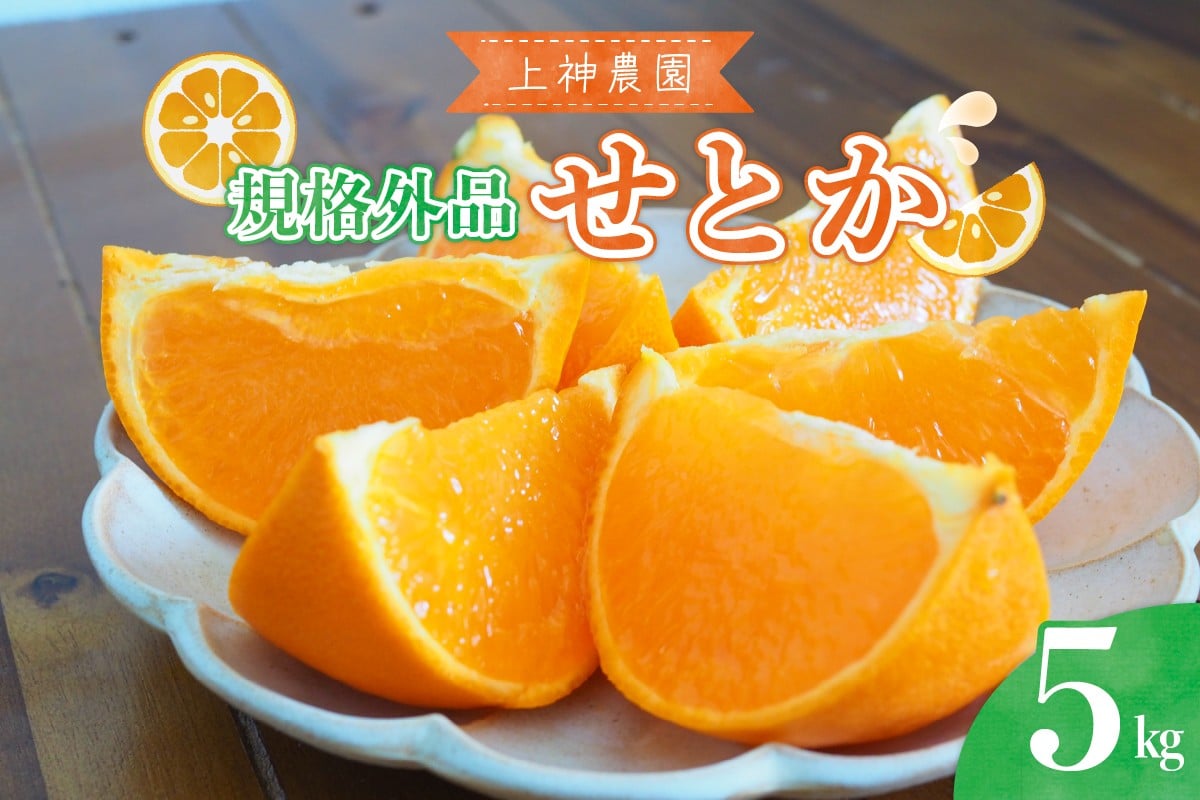 
            【2026年2月初旬～発送】【規格外品】上神農園 の 広島県産 せとか 約5kg ku011-031-25
          