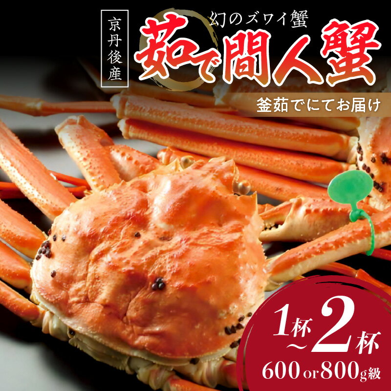 【ふるさと納税】高評価★5.0 高レビュー★【幻のズワイ蟹】京丹後産 茹で間人蟹 鮮度抜群、釜茹でにてお届け！！ 600g級 800g級 1杯 2杯 選べる 内容量 数量 国産 甲殻類 かに ずわいがに 間人蟹 茹で ボイル ふるさと納税 海鮮 松葉ガニ たいざがに 京都 丹後 海祥