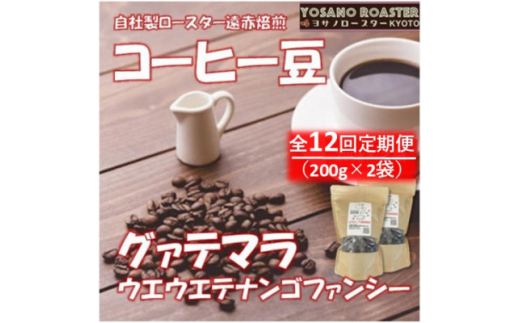 ＜毎月定期便＞コーヒー豆　グァテマラ ウエウエテナンゴファンシー　200g×2　遠赤外線焙煎全12回【4063191】