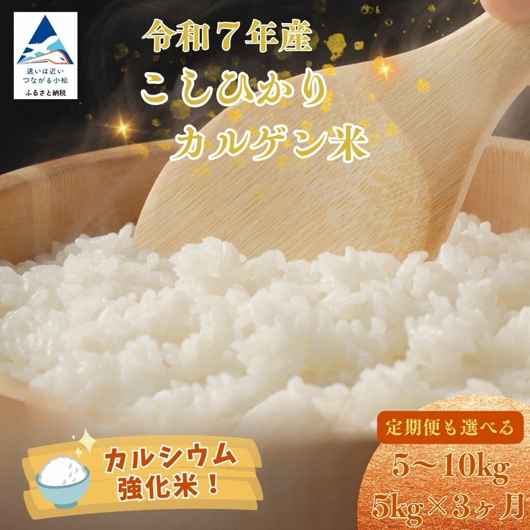【ふるさと納税】令和7年産 こしひかりカルゲン米 選べる 5kg / 10kg（5kg×2）/【定期便】5kg×3ヶ月（毎月） お米 白米 コシヒカリ | 石川県 小松市 017024 【坂口農園】