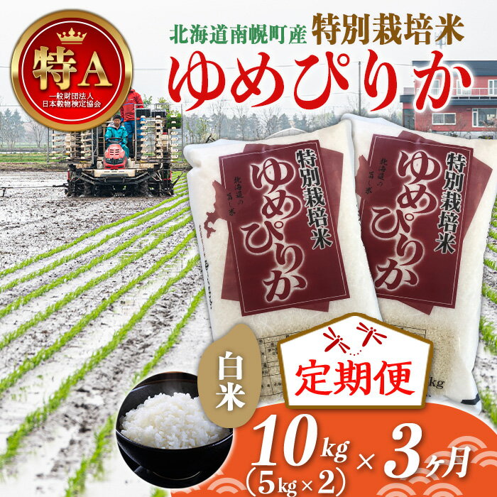 【ふるさと納税】《定期便》特別栽培米 令和7年産 ゆめぴりか（白米）5kg×2袋×3ヵ月 NP1-410