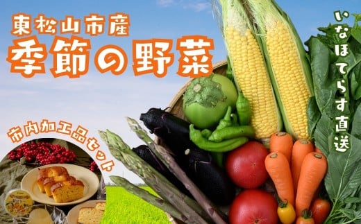 東松山市産季節の野菜と市内産加工品詰合せセット | 野菜 野菜セット 詰め合わせ 季節 旬 新鮮野菜 かぶ レタス キャベツ のらぼう菜 トマト オクラ 玉ねぎ ニンニク きゅうり ナス ニンジン ネギ ズッキーニ インゲン バラエティ バラエティーセット 梨ゼリー パウンドケーキ せんべい おいしい 美味しい うまい 旨い 自然 いなほてらす 埼玉県 東松山市