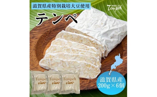ルストテンペ(滋賀県産特別栽培大豆使用)6個セット