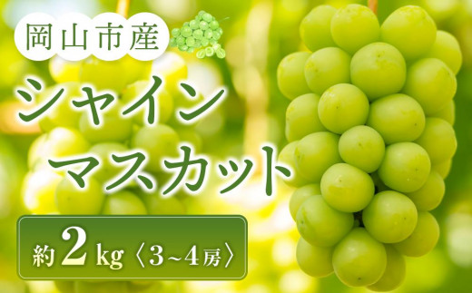 シャインマスカット 3～4房入り 合計約2kg ぶどう 葡萄 フルーツ 果物 岡山市産 2026年 | フルーツ 果物 くだもの シャインマスカット マスカット 岡山県産 国産 ギフト 贈答用 プレゼント 贈り物 シャインマスカット マスカット フルーツ 果物 くだもの シャインマスカット マスカット