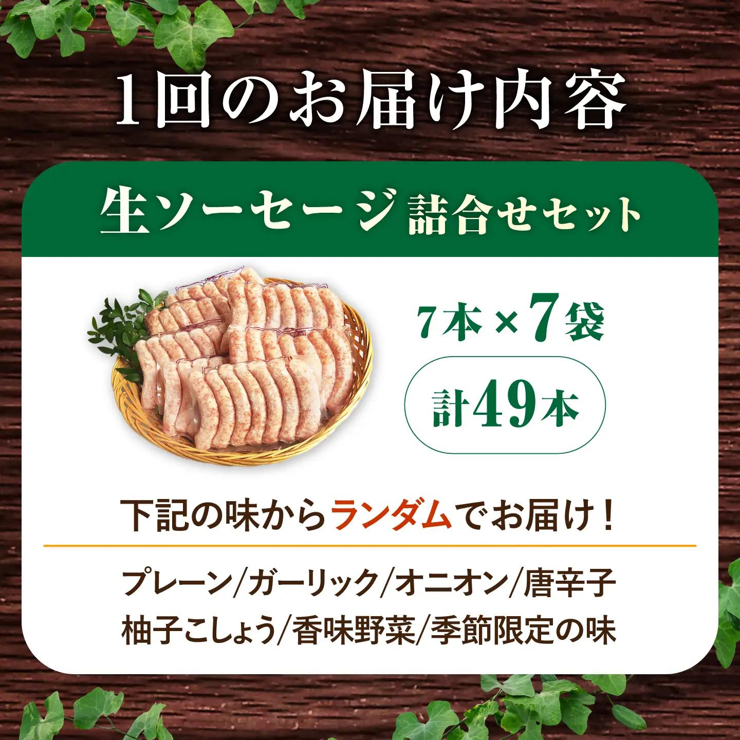 ソーセージ 【49本×3回定期便】生ソーセージ詰め合せ7本入り×7袋 ※無塩せき（亜硝酸ナトリウム不使用）[EAM044]  国産ソーセージ ソーセージウインナー 冷凍 詰合せ 定期便
