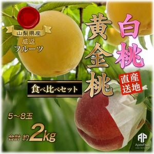 【2025年先行受付】山梨市産　白桃と黄金桃の食べ比べセット　約2kg(5～8玉)【配送不可地域：離島】【1431881】