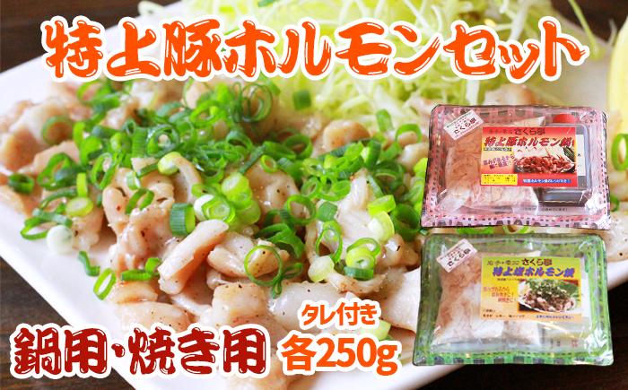 
特上豚ホルモン 鍋用・塩焼き用セット【さくら亭】/ ホルモン鍋 塩焼き 豚肉 ホルモン
