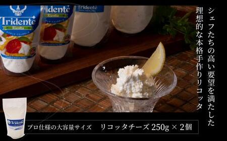 リコッタチーズ 250g　2個セット　リコッタ 冷蔵 サラダ  お菓子    前菜 サラダ 新鮮 生乳 国産 低温殺菌 乳製品 無添加 大容量 業務用サイズ   飛騨高山 トリデンテ リアライン  T