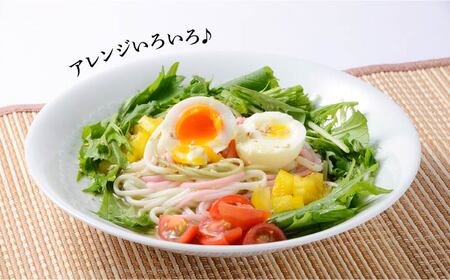 五島うどん 梅うどん わかめうどん スープ付 五島うどん 乾麺 麺 うどん [RAX006] 五島うどん うどん 五島うどん うどん九州 長崎 スピード発送 最短発送
