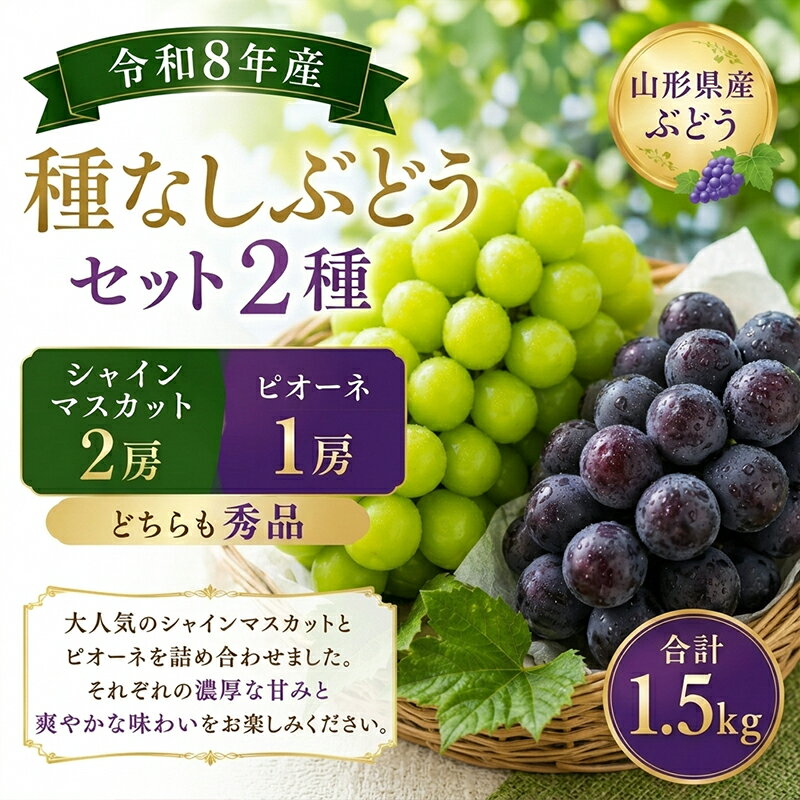 【ふるさと納税】山形産 種なしぶどうセット2種 (シャインマスカット2房とピオーネ1房)秀品 合計1.5k g FY26-173