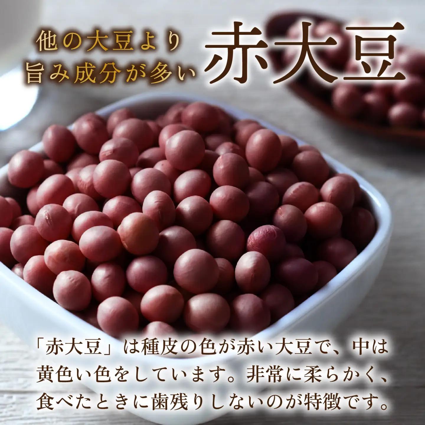 青大豆 赤大豆 厳選大粒豆セット 計2kg