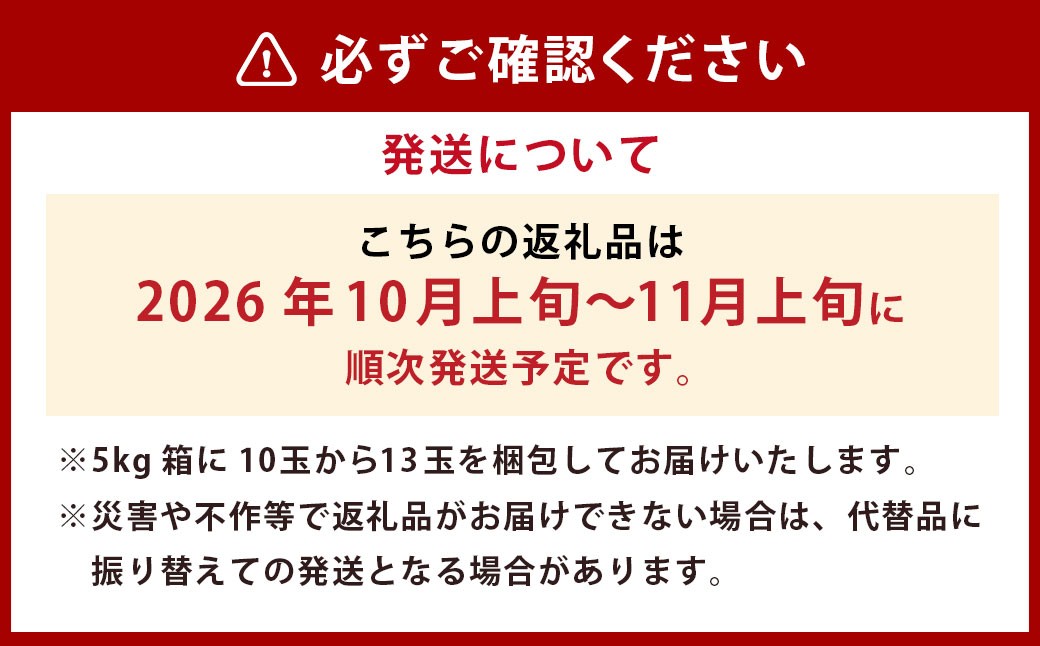 【先行予約】 梨の山茂梨園 新興梨 10玉から13玉 （約5kg） 