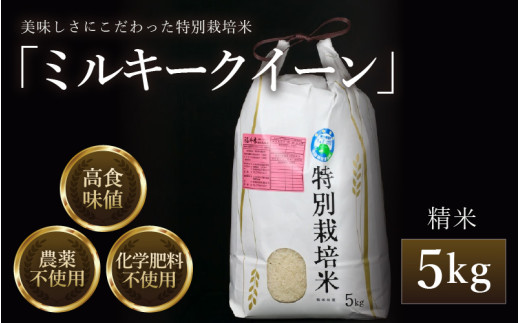 【先行予約】【令和8年産 新米】 ミルキークイーン 精米 5kg 特別栽培米 農薬不使用 化学肥料不使用 ／ 高品質 鮮度抜群 福井県産 ブランド米 ※2026年10月上旬以降順次発送 [aw063-