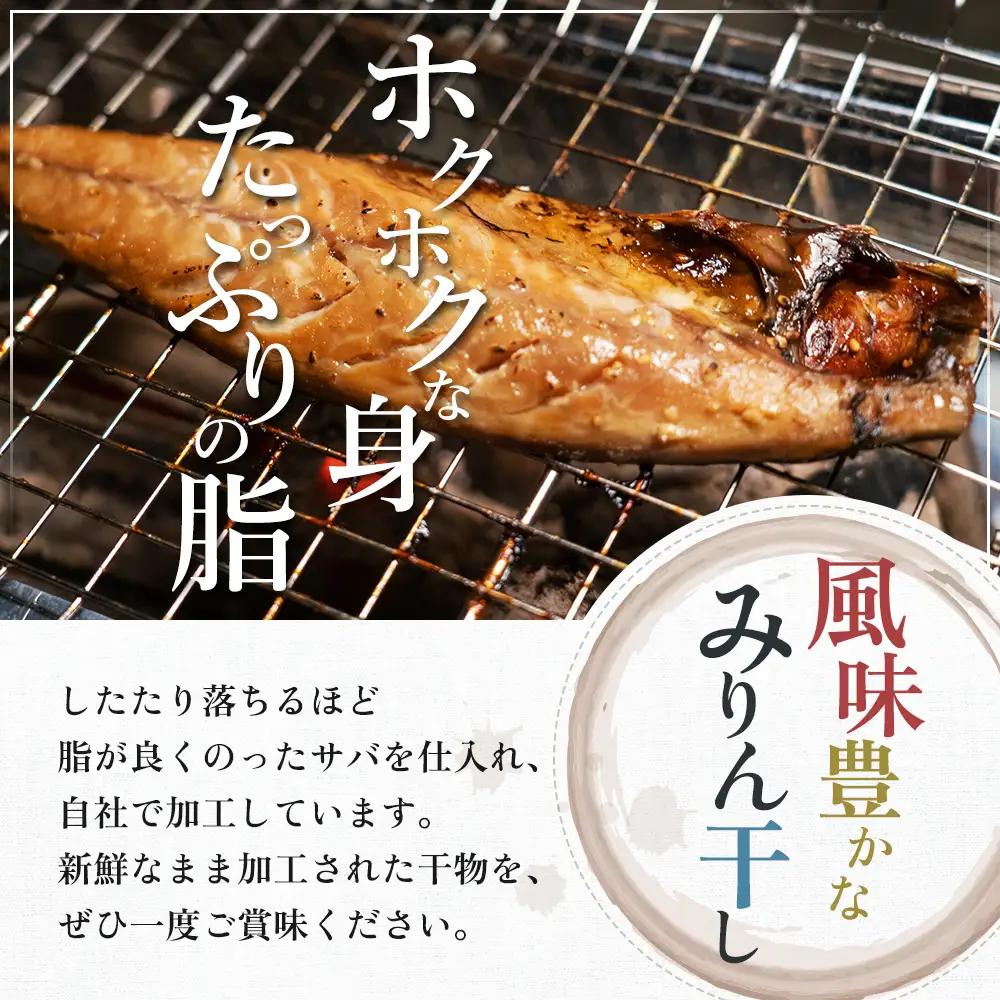とろサバ 干物 6枚 約200g前後×6枚 合計約1.2kg前後 干物