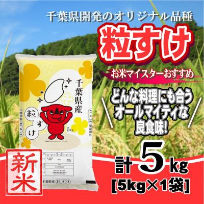 ふるさと納税 大網白里市 【新米 令和8年産】千葉県産「粒すけ」精米 5kg(5kg×1袋)