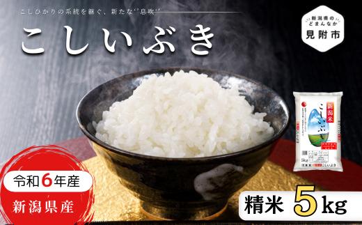 R6年産 新潟県産 こしいぶき 5kg（精米）