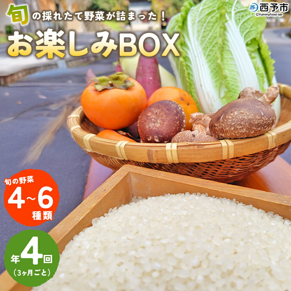 【ふるさと納税】＜旬の採れたて野菜が詰まったお楽しみBOX（3か月ごと年4回の定期便）＞ 西予市遊子川産 農家さんの顔が見える野菜 定期便 野菜 食べて応援 特産品 遊子川ザ・リコピンズ 愛媛県 西予市【常温】『【1回目】毎月末日までの申込で翌月中旬より順次発送』