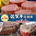 【ふるさと納税】【全5回 定期便】佐賀牛ヒレステーキ　総計3.6kg J412