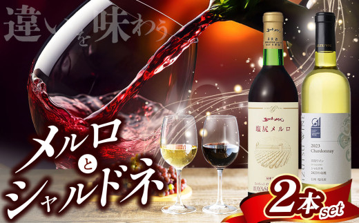塩尻シャルドネ と塩尻メルロのセット（ 井筒ワイン・五一わいん） | お酒 酒 おさけ アルコール ワイン わいん 長野県 塩尻市