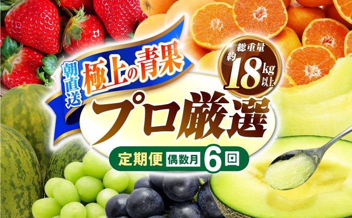 【年6回 偶数月コース】果物屋が選ぶ旬のフルーツ定期便 ハウスびわ メロン ぶどう (巨峰) みかん など / 南島原市 / 贅沢宝庫 [SDZ022]