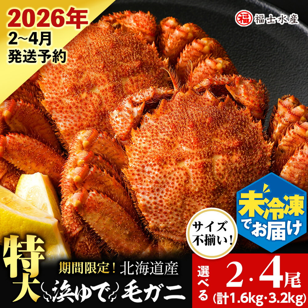 【ふるさと納税】【2026年発送予約】チルドでお届け！ 浜茹で毛ガニ中サイズ 選べる2尾～4尾 （不揃い合計約1.6kg～3.2kg） 〈福士水産〉北海道ふるさと納税 利尻富士町 ふるさと納税 北海道 かにふるさと納税 北海道 カニ ふるさと納税 北海道 毛ガニ 毛蟹 冷蔵 新物