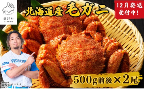 【2026年12月発送】北海道産 ボイル毛ガニ 約1kg（500g前後×2尾）蟹 カニ 冷凍