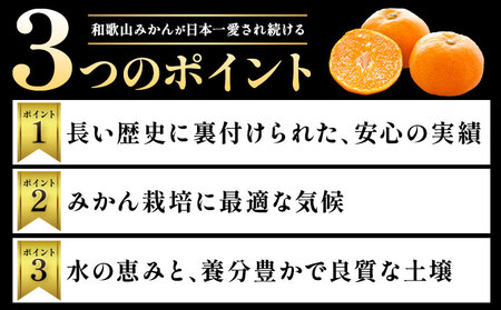 みかん ご家庭用約1.9kg