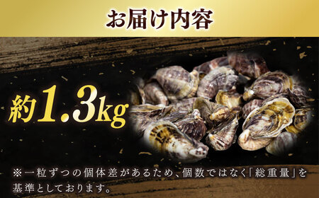 養殖カキ 約1.3kg [RCN001] 牡蠣 牡蠣 牡蠣 牡蠣 牡蠣 牡蠣九州 長崎 