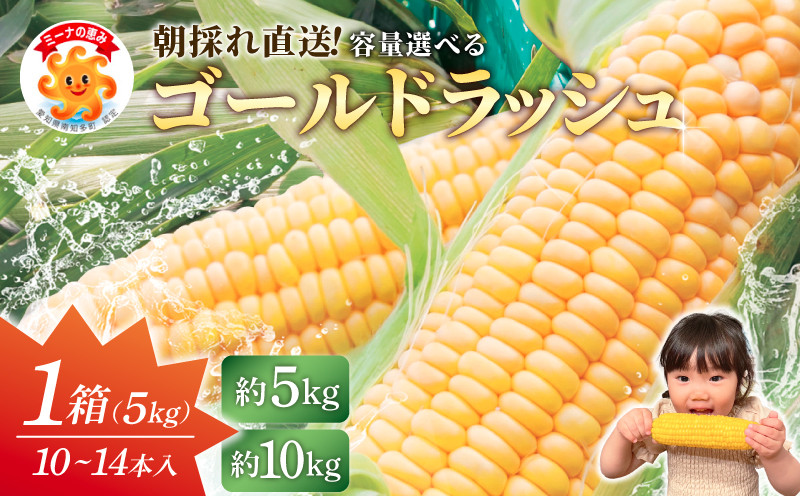 
            先行予約 容量選べる スイートコーン 約5kg 10kg 1箱10~14本 冷蔵 朝採れ 【6月下旬～7月頃に順次お届け】 ミーナコーン トウモロコシ 国産 おすすめスイートコーン 期間限定 数量限定 直送 朝採りスイートコーン とうもろこし 甘いスイートコーン 美味しいスイートコーン コーンポタージュ 野菜 朝採れスイートコーン とうきび とうもろこし 人気スイートコーン 愛知県 南知多町
          