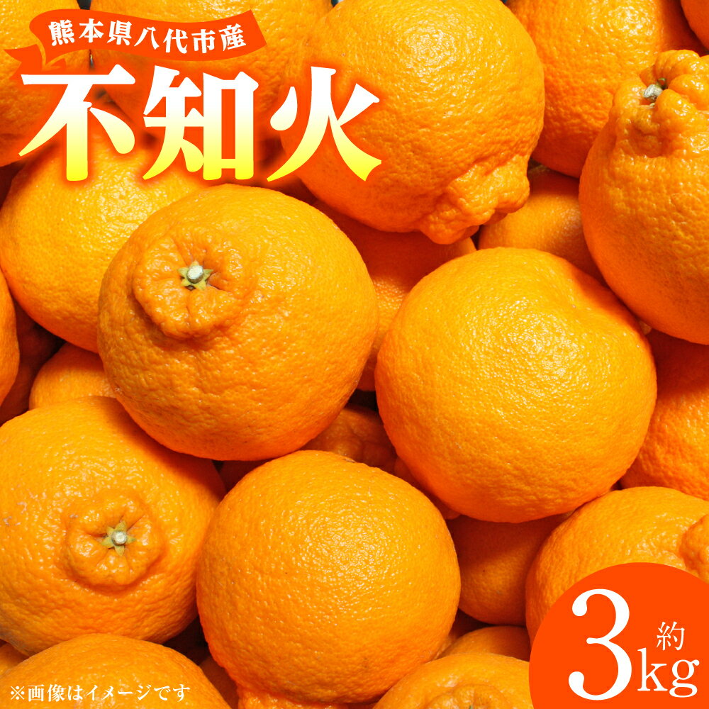 【ふるさと納税】【先行予約】 不知火 約3kg しらぬい 柑橘 果物 くだもの フルーツ おやつ デザート ハウス栽培 熊本県 八代市 送料無料 【2027年1月中旬より順次発送】