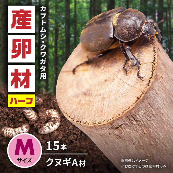 【ふるさと納税】オリジナル産卵材 Mサイズ ハーフ カブトムシ クワガタ クヌギA材 【ふるさと昆虫】[YDV021]