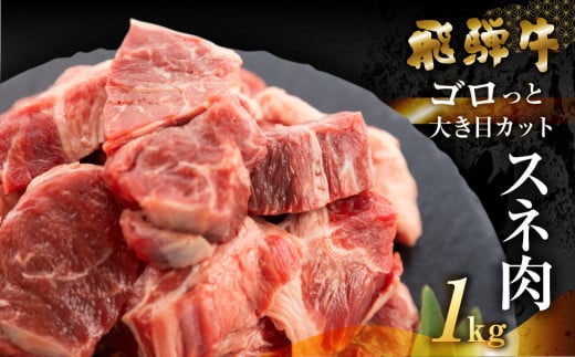 飛騨牛 煮込み用 スネ肉切り落とし 1kg（500g×2）冷蔵 牛肉  ブランド牛 牛 下呂市 GGシェフ 下呂魚介