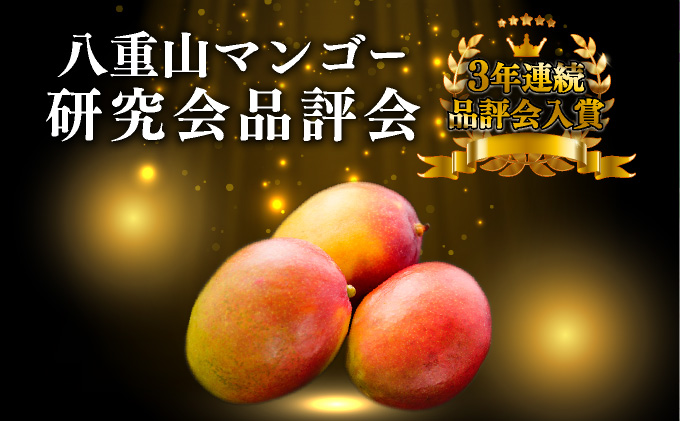 2026年 先行予約 完熟 アップルマンゴー 2L 350g~460g 2玉 マンゴー 果物 デザート 品評会連続入賞2026年 発送 ますみ農園