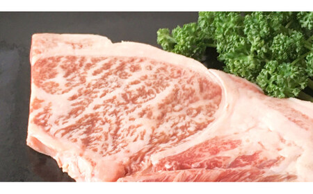 常陸牛肩ロースステーキ100g×2枚 合計200g アウトドア お肉 肉 牛肉 和牛 黒毛和牛 ロース ステーキ 肩ロース ロースステーキ 牛肉 常陸牛 お取り寄せ 冷凍 茨城県 守谷市
