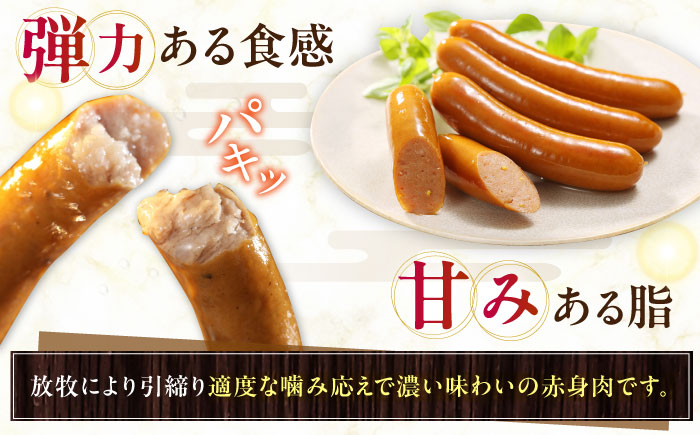 放牧豚 チョリソー 計1200g（100g×12）《厚真町》　【ファーマーズファクトリー株式会社】 [AXBA100]
