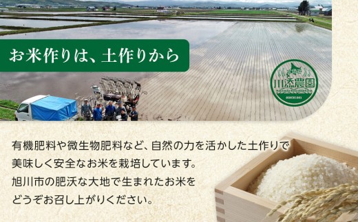 ZIP!で紹介！ 令和8年産 新米 ななつぼし 無洗米 真空パック 5kg×4個×5口（合計100kg）(2026年10月発送開始)_06546