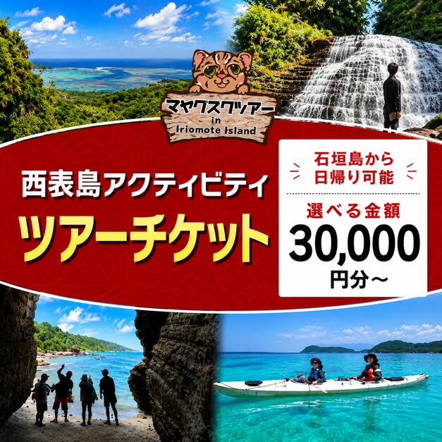 【ふるさと納税】＜選べる金額＞旅行券 沖縄 チケット 西表島 アクティビティ ツアーチケット 3,000〜60,000円【 竹富町 】
