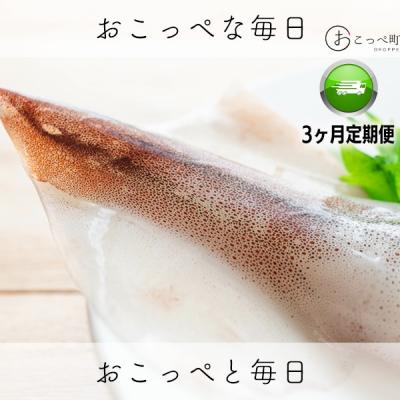 ふるさと納税 興部町 イカミミ1.5kg 隔月3ヶ月定期便【20035】