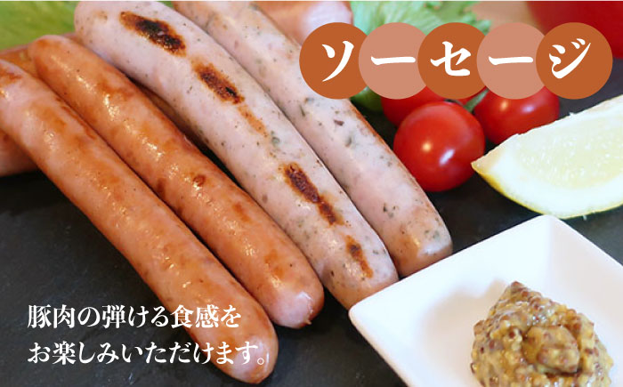 【 全12回 定期便 】 糸島 の 陽光 ハム / ウインナー セット 5《糸島》 【志摩スモークハウス】 [AOA022]
