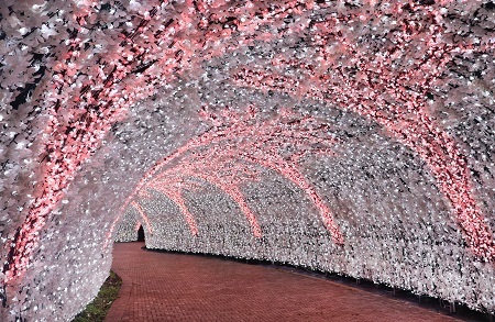 なばなの里 イルミネーション特別入村券 2名様分 (ベゴニアガーデン入場券付) イルミネーション 【2026年4月下旬まで発送予定】