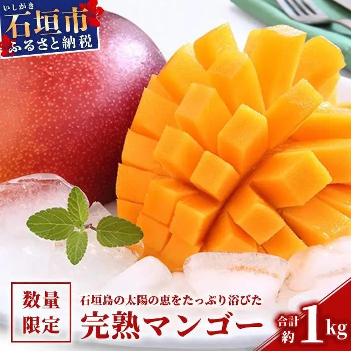 マンゴー 約1kg 石垣島産 完熟マンゴー アーウィン種