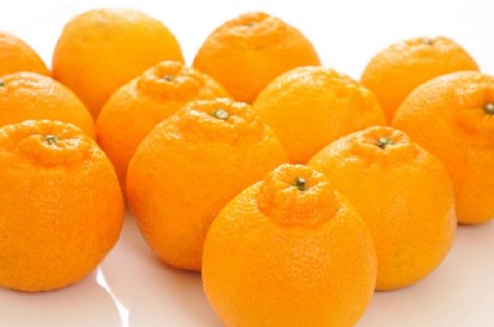 【大人気】和歌山有田の濃厚大玉デコポン　12～15玉(約5kg)※2025年1月中旬～3月下旬（順次発送予定）【ard006C】
