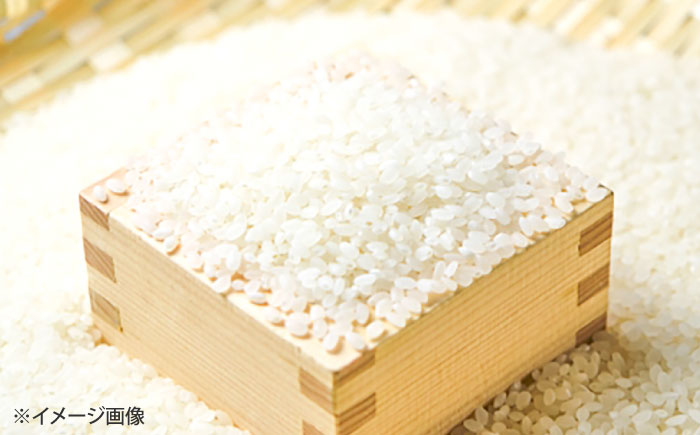 【令和7年度産】ひのひかり 10kg 【勝農園】[IDK001]