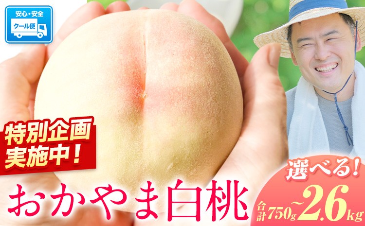 
                  【スピード出荷実施中！】 桃 もも ご家庭用/訳あり おかやま白桃 もも 選べる内容量 750g 1kg 1.3kg 2.6kg 岡山県産《1－5営業日以内に出荷（土日祝除く）》岡山県 浅口市 白桃 黄桃 白鳳 清水白桃 おかやま夢白桃 川中島白桃 白皇 黄金桃 果物 桃 2026 先行 桃 先行予約2026 桃 先行予約2026 桃 白鳳 桃 
                