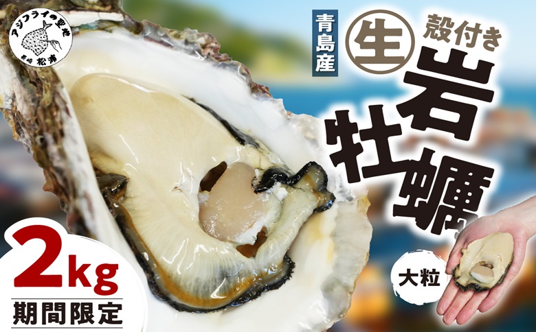 【期間限定】青島産 大粒殻付き生岩ガキ 2kg( カキ 牡蠣 岩ガキ 青島産 国産 期間限定 お取り寄せ )【B5-082】