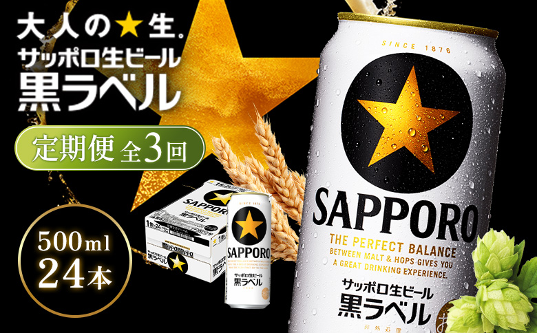 【定期便全3回】サッポロ黒ラベル500ml×24本【930050213903】