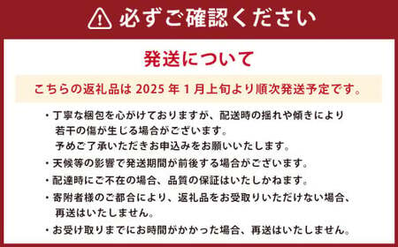 熊本県産 柑橘果物食べ比べセット 4種以上 【2025年1月上旬発送開始】 果物 フルーツ 柑橘 おまかせ 旬 旬のフルーツ