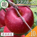 【ふるさと納税】 りんご シナノホッペ 家庭用 10kg ファームトヤ 沖縄県への配送不可 令和6年度収穫分 長野県 飯綱町 〔 信州 果物 フルーツ リンゴ 林檎 長野 予約 農家直送 〕発送時期：2024年11月上旬～2024年11月下旬 {**}